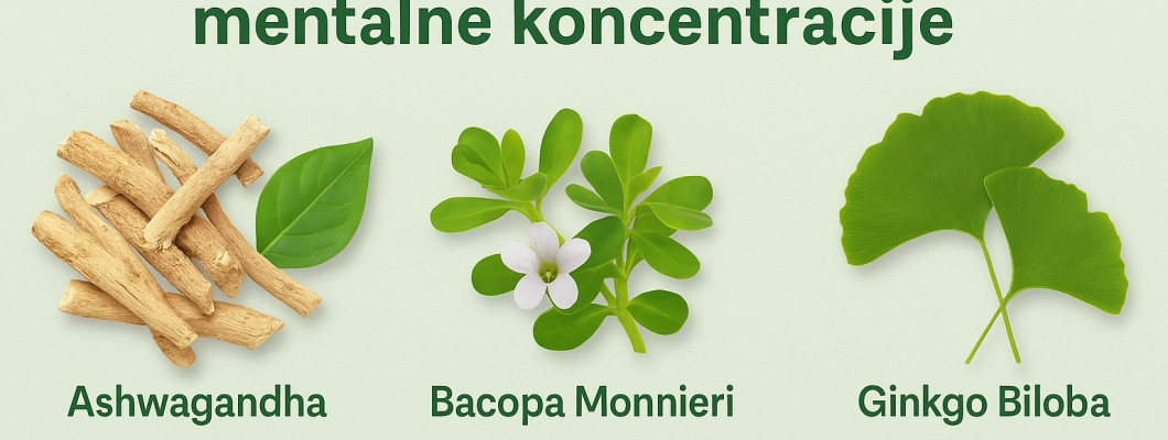 Prirodni načini za poboljšanje mentalne koncentracije Prirodni načini za poboljšanje mentalne koncentracije