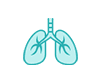 Respiratorni Sistem