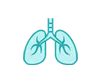Respiratorni Sistem