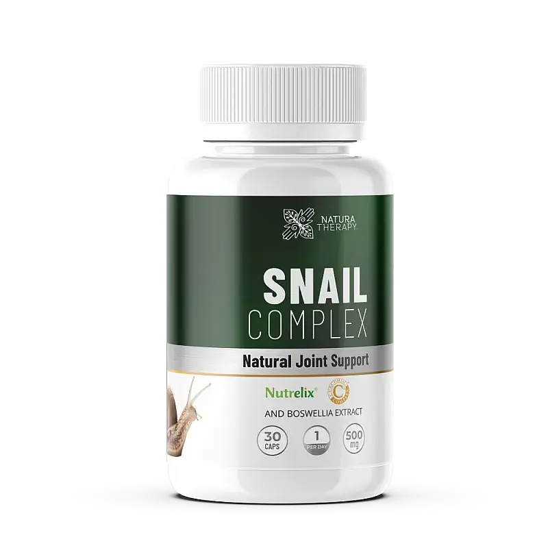 snail-main